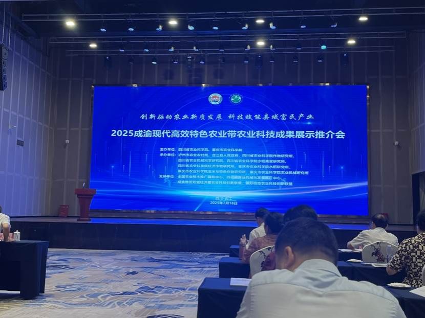 图片包含 室内, 人, 天花板, 房间 AI 生成的内容可能不正确。
